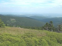 Jelení hřbet