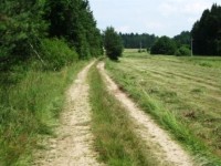 Cesta mezi Rakovicemi a Myšticemi