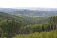 Výhled