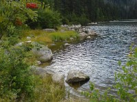 Plešné jezero