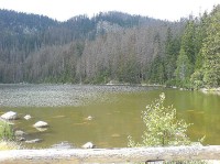 Plešné jezero