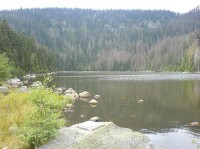 Plešné jezero