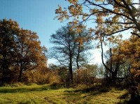 Nežárka - řeka: okolí Nežárky