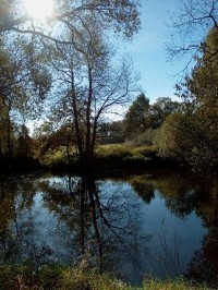 Nežárka - řeka: Nežárka u Hamru