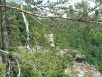 Rač