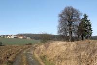 POLNÍ CESTA DO HRADČAN