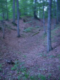 Krásný Buk-zřícenina hradu