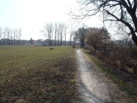Šlapanice - Mohyla míru a zpět, aneb jak jsme si vyjeli na kopec skoro po rovině