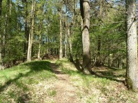 Vildenberk-cestička ke střednímu hradu - 28.4.2012