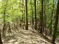 Vildenberk-Cestička po obvodových hradbách nebo valech - 28.4.2012