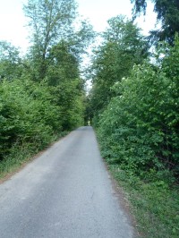Asfaltová cesta kolem jubilejního památníku - 27.5.2012
