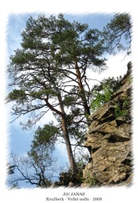 Kružberská přehrada