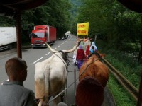 Pohled z vozu.: 