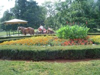 Třeboň - zámecký park