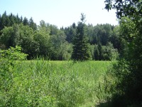 Věžák