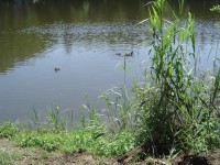 Věžák - červen 2011