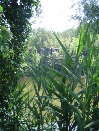 Věžák - červen 2011
