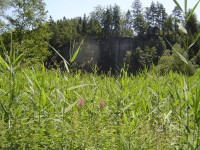 Věžák - červen 2011