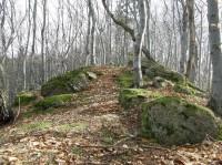 Beskydy