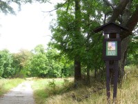 Velký Roudný-začátek turistické cesty na vrchol sopky-Foto:Ulrych Mir.