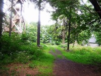 Velký Roudný-vrchol sopky-780 m-Foto:Ulrych Mir.