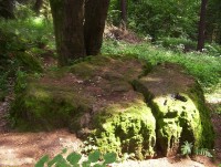 Velký Roudný-Boží nebo Čertův kámen-detail-Foto:Ulrych Mir.