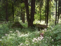 Velký Roudný-Boží nebo Čertův kámen-Foto:Ulrych Mir.