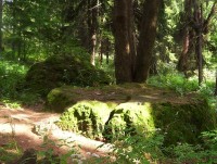 Velký Roudný-Boží nebo Čertův kámen-Foto:Ulrych Mir.