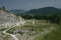 arboretum
