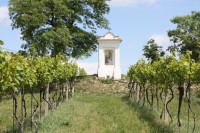 Mikroregion Modré Hory