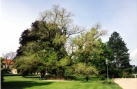 Lednický park