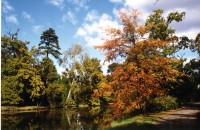 Lednický park