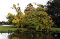 Lednický park