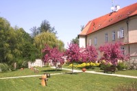 Telč - Jezuitská kolej
