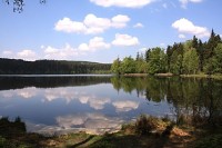 Velký pařezitý rybník