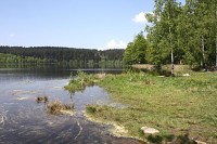 Velký pařezitý rybník