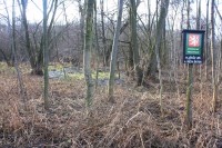Plačkův les a říčka Šatava - přírodní rezervace