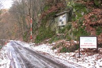 Rosenauerova lesní cesta
