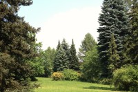 Velké Losiny - lázeňský park