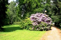 Velké Losiny - lázeňský park