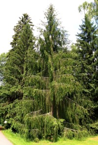 http://www.turistika.cz/foto/11885/54556/th_IMG_1014.JPGVelké Losiny - lázeňský park