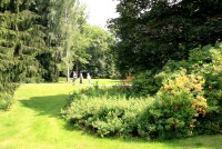 Velké Losiny - lázeňský park