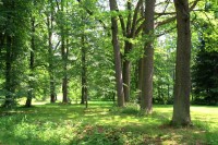 Velké Losiny - lázeňský park