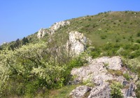 Tabulová - národní přírodní rezervace