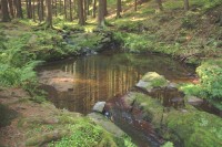 Kupadla
