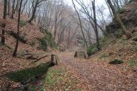 Gangloffova cesta
