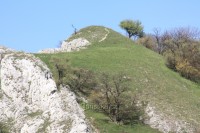 Nový hrádek (Neuhaus) na Pálavě