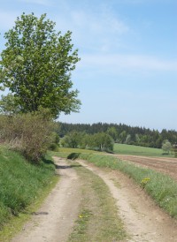 II. okruh - Žďárské vrchy