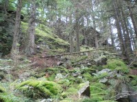 Dračí skály