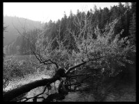 Černé jezero